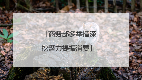 商务部多举措深挖潜力提振消费