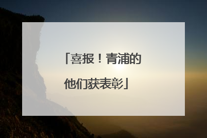 喜报！青浦的他们获表彰