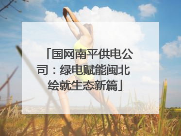 国网南平供电公司：绿电赋能闽北 绘就生态新篇