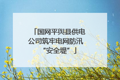 国网平舆县供电公司筑牢电网防汛“安全堤”