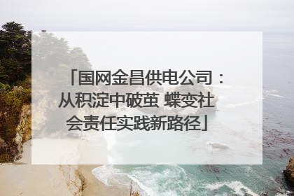 国网金昌供电公司：从积淀中破茧 蝶变社会责任实践新路径