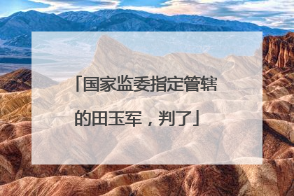 国家监委指定管辖的田玉军，判了
