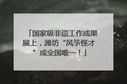 国家级非遗工作成果展上，潍坊“风筝怪才”成全国唯一！