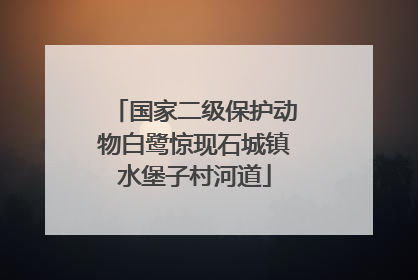 国家二级保护动物白鹭惊现石城镇水堡子村河道
