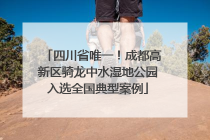 四川省唯一！成都高新区骑龙中水湿地公园入选全国典型案例