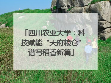 四川农业大学：科技赋能“天府粮仓”谱写稻香新篇