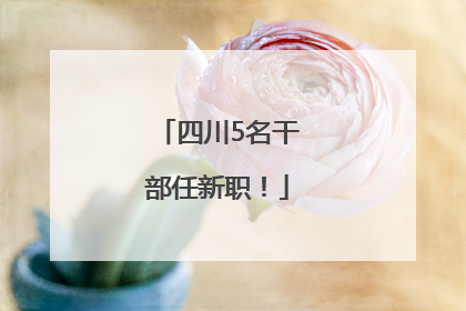 四川5名干部任新职！