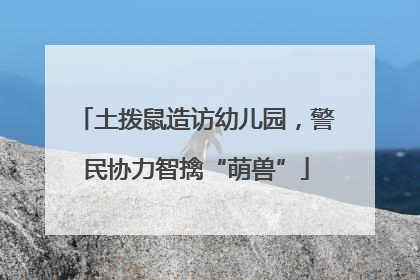 土拨鼠造访幼儿园，警民协力智擒“萌兽”