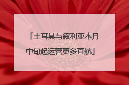 土耳其与叙利亚本月中旬起运营更多直航