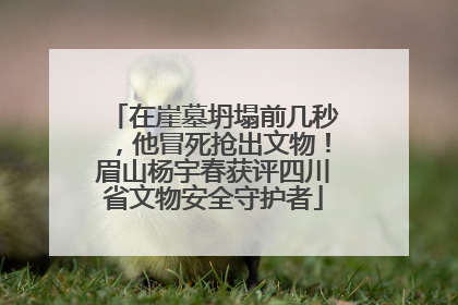 在崖墓坍塌前几秒，他冒死抢出文物！眉山杨宇春获评四川省文物安全守护者