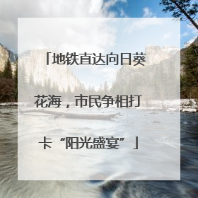 地铁直达向日葵花海，市民争相打卡“阳光盛宴”
