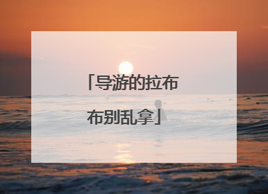 导游的拉布布别乱拿
