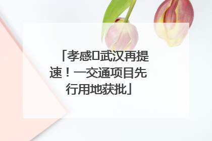 孝感⇋武汉再提速！一交通项目先行用地获批