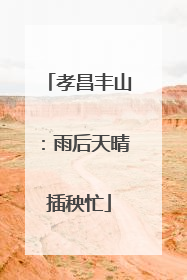 孝昌丰山：雨后天晴插秧忙