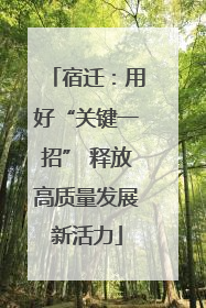宿迁：用好“关键一招” 释放高质量发展新活力