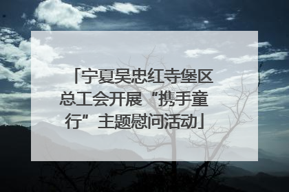 宁夏吴忠红寺堡区总工会开展“携手童行”主题慰问活动
