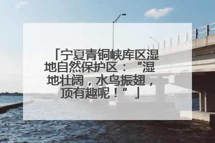 宁夏青铜峡库区湿地自然保护区：“湿地壮阔，水鸟振翅，顶有趣呢！”