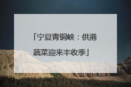 宁夏青铜峡：供港蔬菜迎来丰收季