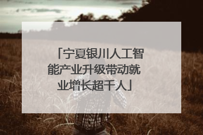 宁夏银川人工智能产业升级带动就业增长超千人