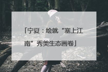 宁夏：绘就“塞上江南”秀美生态画卷