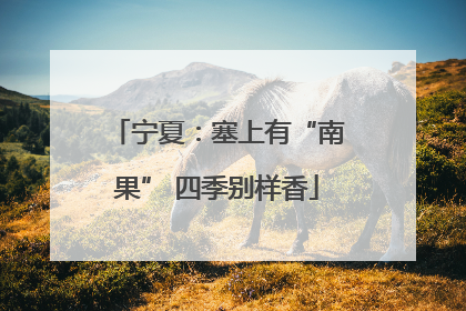 宁夏：塞上有“南果” 四季别样香