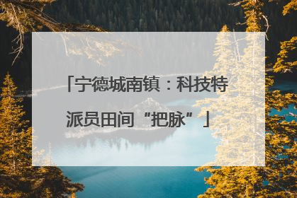 宁德城南镇：科技特派员田间“把脉”