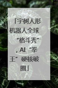 宇树人形机器人全球“格斗秀”，AI“拳王”硬核破圈