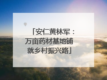 安仁黄林军：万亩药材基地铺就乡村振兴路