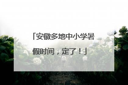 安徽多地中小学暑假时间，定了！