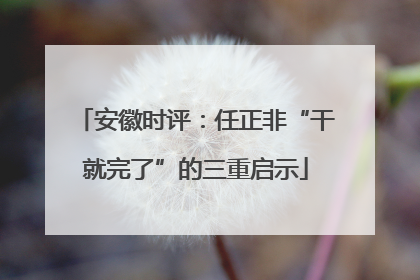 安徽时评：任正非“干就完了”的三重启示