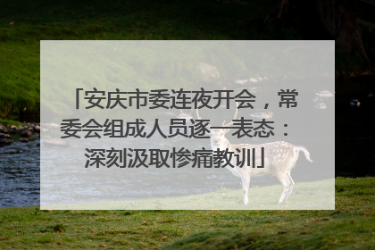 安庆市委连夜开会，常委会组成人员逐一表态：深刻汲取惨痛教训