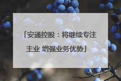 安通控股：将继续专注主业 增强业务优势