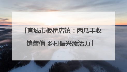 宜城市板桥店镇：西瓜丰收销售俏 乡村振兴添活力