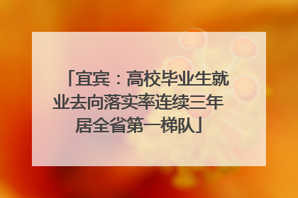 宜宾：高校毕业生就业去向落实率连续三年居全省第一梯队