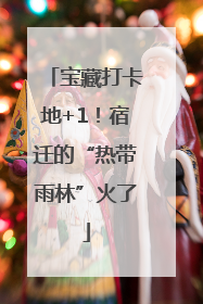 宝藏打卡地+1！宿迁的“热带雨林”火了