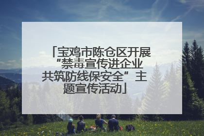 宝鸡市陈仓区开展“禁毒宣传进企业 共筑防线保安全”主题宣传活动