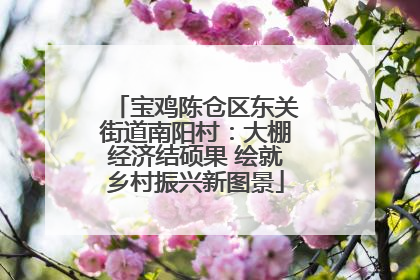 宝鸡陈仓区东关街道南阳村：大棚经济结硕果 绘就乡村振兴新图景