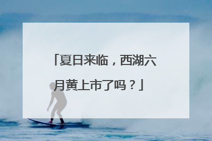 夏日来临，西湖六月黄上市了吗？