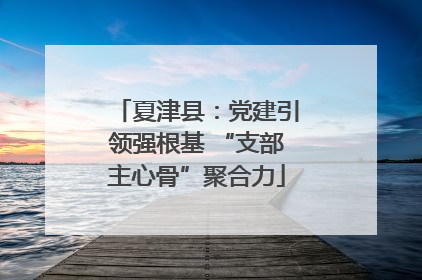 夏津县：党建引领强根基 “支部主心骨”聚合力