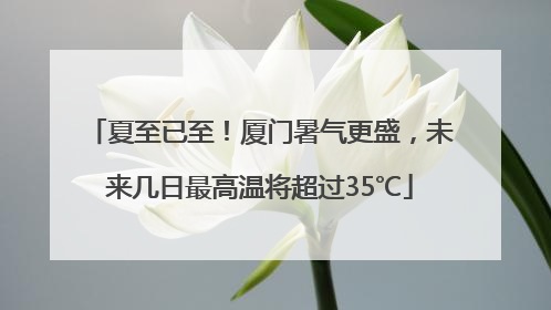 夏至已至！厦门暑气更盛，未来几日最高温将超过35℃