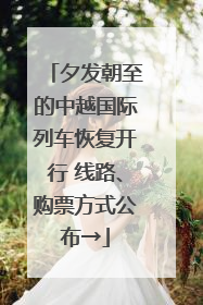 夕发朝至的中越国际列车恢复开行 线路、购票方式公布→
