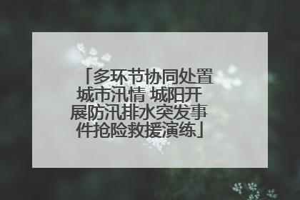 多环节协同处置城市汛情 城阳开展防汛排水突发事件抢险救援演练