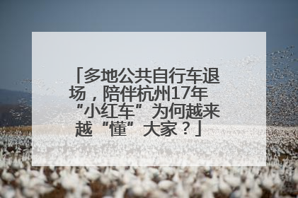 多地公共自行车退场，陪伴杭州17年“小红车”为何越来越“懂”大家？
