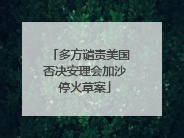 多方谴责美国否决安理会加沙停火草案