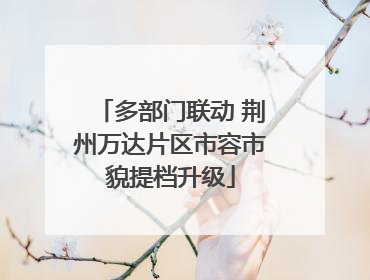 多部门联动 荆州万达片区市容市貌提档升级
