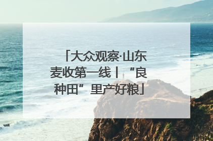大众观察·山东麦收第一线丨“良种田”里产好粮