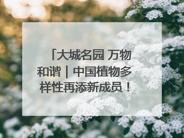 大城名园 万物和谐｜中国植物多样性再添新成员！它只在西藏墨脱