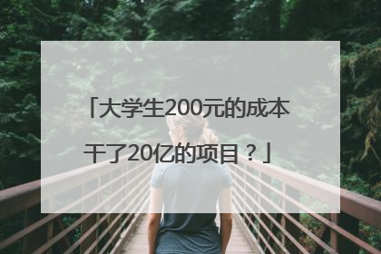 大学生200元的成本干了20亿的项目？