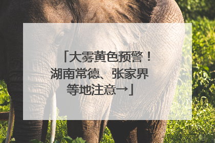 大雾黄色预警！湖南常德、张家界等地注意→