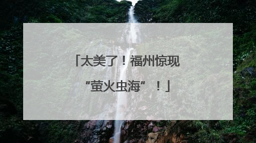 太美了！福州惊现“萤火虫海”！